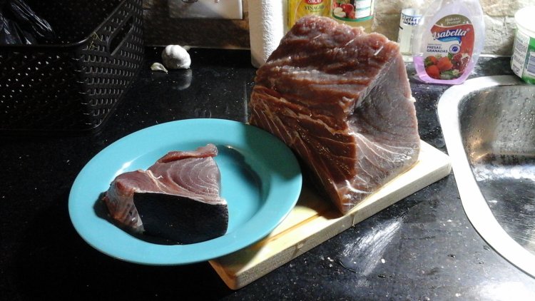 5lb hunk of tuna