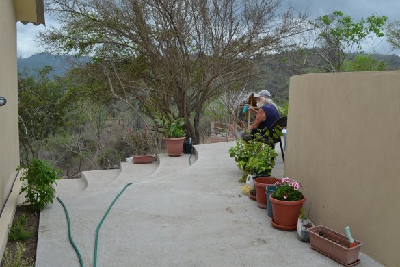 Patio herb garden